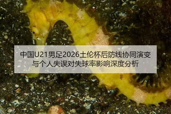 中国U21男足2026土伦杯后防线协同演变与个人失误对失球率影响深度分析