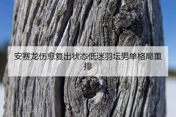 an-sai-long-shang-yu-fu-chu-zhuang-tai-di-mi-yu-tan-nan-dan-ge-ju-zhong-pai-3-146.jpg